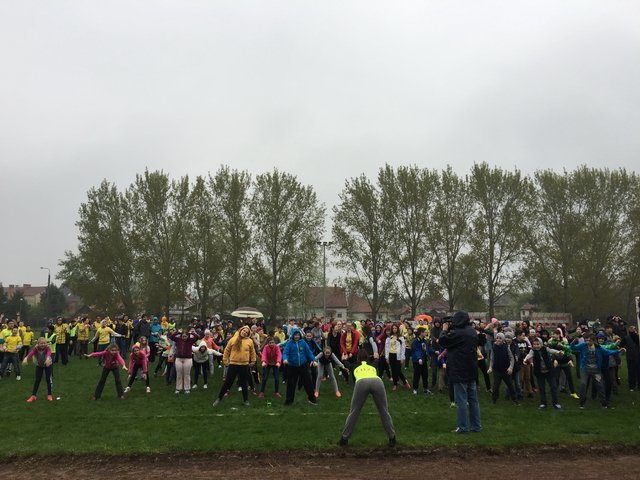 Nárcisz futás 2017 14